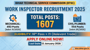 Bihar BTSC Work Inspector Recruitment 2025 Apply Online Notification.